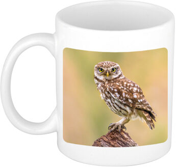 Bellatio Decorations Dieren foto mok steenuil - uilen beker wit 300 ml