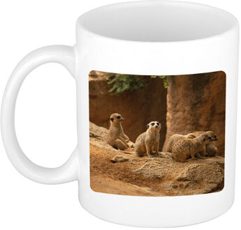 Bellatio Decorations Dieren foto mok stokstaartje - stokstaartjes beker wit 300 ml