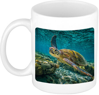 Bellatio Decorations Dieren foto mok zee schildpad - schildpadden beker wit 300 ml