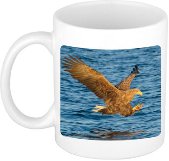 Bellatio Decorations Dieren foto mok zeearend - arenden beker wit 300 ml