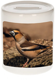 Bellatio Decorations Dieren foto spaarpot appelvink vogel 9 cm - vogels spaarpotten jongens en meisjes