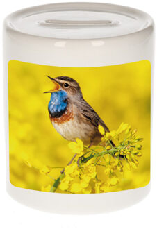 Bellatio Decorations Dieren foto spaarpot blauwborst vogel 9 cm - vogels spaarpotten jongens en meisjes Multi