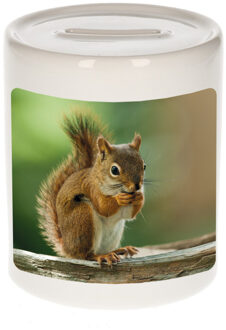 Bellatio Decorations Dieren foto spaarpot eekhoorn 9 cm - eekhoorns spaarpotten jongens en meisjes Multi