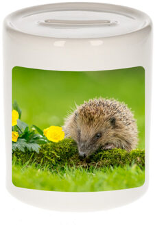 Bellatio Decorations Dieren foto spaarpot egel 9 cm - egels spaarpotten jongens en meisjes