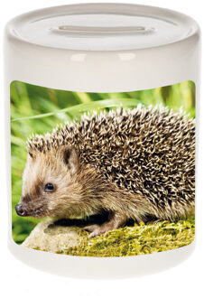 Bellatio Decorations Dieren foto spaarpot egel 9 cm - egels spaarpotten jongens en meisjes