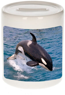 Bellatio Decorations Dieren foto spaarpot grote orka 9 cm - orka walvissen spaarpotten jongens en meisjes Multi