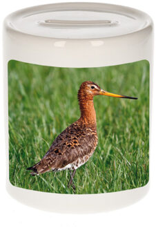 Bellatio Decorations Dieren foto spaarpot grutto vogel 9 cm - vogels spaarpotten jongens en meisjes Multi