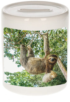 Bellatio Decorations Dieren foto spaarpot hangende luiaard 9 cm - luiaarden spaarpotten jongens en meisjes