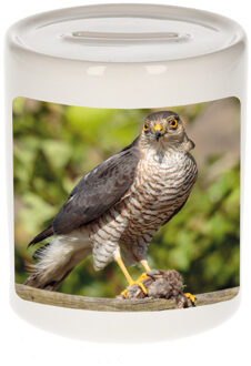 Bellatio Decorations Dieren foto spaarpot havik roofvogel 9 cm - roofvolgel spaarpotten jongens en meisjes Multi