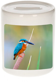 Bellatio Decorations Dieren foto spaarpot ijsvogel 9 cm - vogels spaarpotten jongens en meisjes Multi