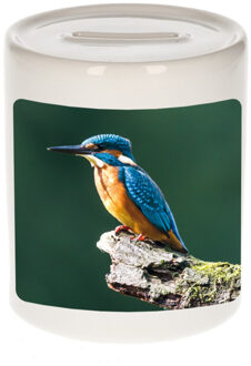 Bellatio Decorations Dieren foto spaarpot ijsvogel zittend 9 cm - vogels spaarpotten jongens en meisjes