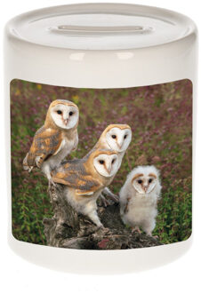 Bellatio Decorations Dieren foto spaarpot kerkuil 9 cm - uilen spaarpotten jongens en meisjes