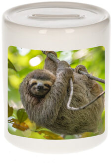 Bellatio Decorations Dieren foto spaarpot luiaard 9 cm - luiaards spaarpotten jongens en meisjes