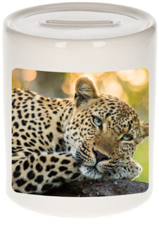 Bellatio Decorations Dieren foto spaarpot luipaard - 9 cm - jaguars/ luipaarden - spaarpotten - jongens en meisjes