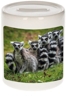 Bellatio Decorations Dieren foto spaarpot maki familie 9 cm - maki apen spaarpotten jongens en meisjes