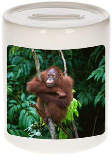 Bellatio Decorations Dieren foto spaarpot orangoetan 9 cm - apen spaarpotten jongens en meisjes