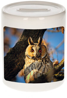 Bellatio Decorations Dieren foto spaarpot ransuil 9 cm - uilen spaarpotten jongens en meisjes