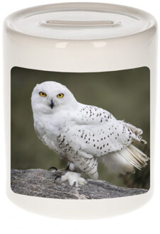 Bellatio Decorations Dieren foto spaarpot sneeuwuil 9 cm - uilen spaarpotten jongens en meisjes