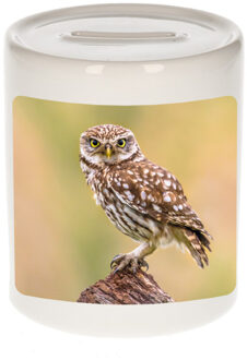 Bellatio Decorations Dieren foto spaarpot steenuil 9 cm - uilen spaarpotten jongens en meisjes
