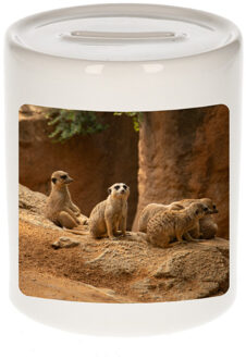 Bellatio Decorations Dieren foto spaarpot stokstaartje 9 cm - stokstaartjes spaarpotten jongens en meisjes