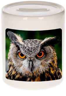 Bellatio Decorations Dieren foto spaarpot uil 9 cm - oehoe uilen spaarpotten jongens en meisjes Multi