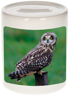 Bellatio Decorations Dieren foto spaarpot velduil 9 cm - uilen spaarpotten jongens en meisjes