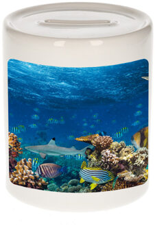 Bellatio Decorations Dieren foto spaarpot vis 9 cm - vissen spaarpotten jongens en meisjes Multi