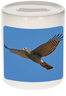 Bellatio Decorations Dieren foto spaarpot vliegende havik roofvogel 9 cm - vogels spaarpotten jongens en meisjes