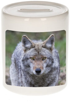 Bellatio Decorations Dieren foto spaarpot wolf 9 cm - wolven spaarpotten jongens en meisjes Multi