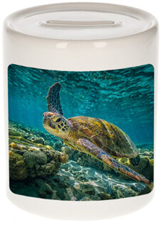 Bellatio Decorations Dieren foto spaarpot zee schildpad 9 cm - schildpadden spaarpotten jongens en meisjes