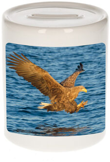 Bellatio Decorations Dieren foto spaarpot - zeearend - arenden - spaarpotten voor jongens en meisjes