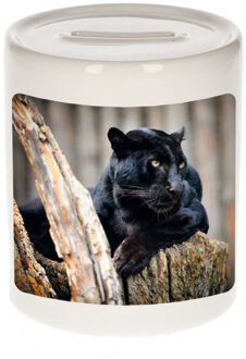 Bellatio Decorations Dieren foto spaarpot zwarte panter 9 cm - panters spaarpotten jongens en meisjes