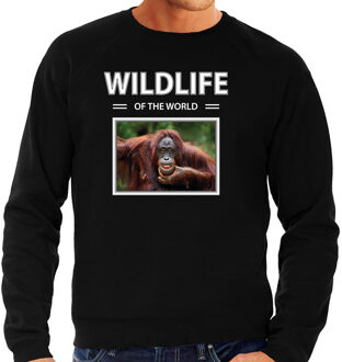 Bellatio Decorations Dieren foto sweater Aap - zwart - heren - wildlife of the world - cadeau trui Orang oetan apen liefhebber 2XL