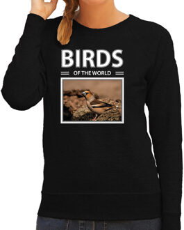 Bellatio Decorations Dieren foto sweater Appelvink - zwart - dames - birds of the world - cadeau trui vogel liefhebber 2XL