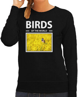 Bellatio Decorations Dieren foto sweater Blauwborst vogel - zwart - dames - birds of the world - cadeau trui vogel liefhebber 2XL