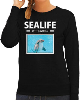 Bellatio Decorations Dieren foto sweater Dolfijn - zwart - dames - sealife of the world - cadeau trui Dolfijnen liefhebber 2XL