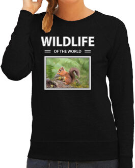 Bellatio Decorations Dieren foto sweater Eekhoorn - zwart - dames - wildlife of the world - cadeau trui Eekhoorns liefhebber 2XL