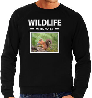 Bellatio Decorations Dieren foto sweater Eekhoorn - zwart - heren - wildlife of the world - cadeau trui Eekhoorns liefhebber 2XL