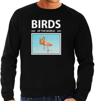 Bellatio Decorations Dieren foto sweater Flamingo - zwart - heren - birds of the world - cadeau trui Flamingos liefhebber 2XL
