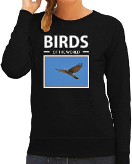 Bellatio Decorations Dieren foto sweater Havik - zwart - dames - birds of the world - cadeau trui Havik roofvogels liefhebber XS