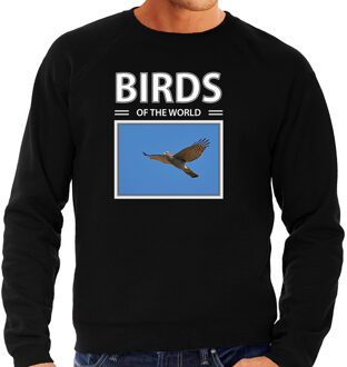 Bellatio Decorations Dieren foto sweater Havik - zwart - heren - birds of the world - cadeau trui Havik roofvogels liefhebber S