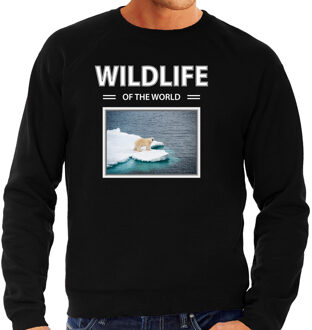 Bellatio Decorations Dieren foto sweater Ijsbeer - zwart - heren - wildlife of the world - cadeau trui Ijsberen liefhebber 2XL