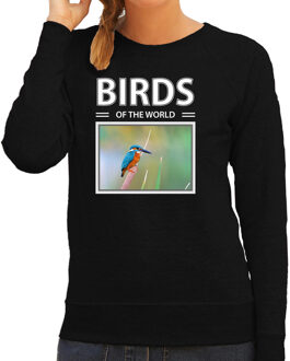 Bellatio Decorations Dieren foto sweater IJsvogel - zwart - dames - birds of the world - cadeau trui vogel liefhebber 2XL