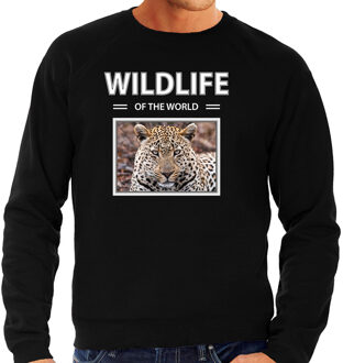 Bellatio Decorations Dieren foto sweater Jaguar - zwart - heren - wildlife of the world - cadeau trui Jaguars liefhebber 2XL