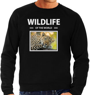 Bellatio Decorations Dieren foto sweater Luipaard - zwart - heren - wildlife of the world - cadeau trui Luipaarden liefhebber 2XL