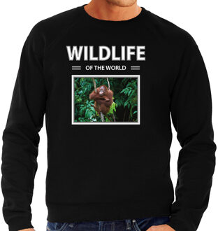 Bellatio Decorations Dieren foto sweater Orang oetan aap - zwart - heren - wildlife of the world - cadeau trui Orang oetans liefhebber 2XL