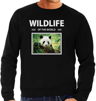 Bellatio Decorations Dieren foto sweater Panda - zwart - heren - wildlife of the world - cadeau trui Pandas liefhebber 2XL