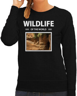 Bellatio Decorations Dieren foto sweater Stokstaartje - zwart - dames - wildlife of the world - cadeau trui Stokstaartjes liefhebber XS