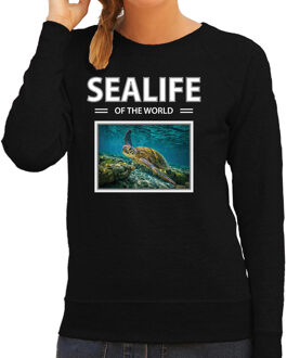 Bellatio Decorations Dieren foto sweater Zeeschildpad - zwart - dames - sealife of the world - cadeau trui Schildpadden liefhebber 2XL