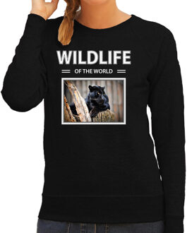 Bellatio Decorations Dieren foto sweater Zwarte panter - zwart - dames - wildlife of the world - cadeau trui Panters liefhebber 2XL